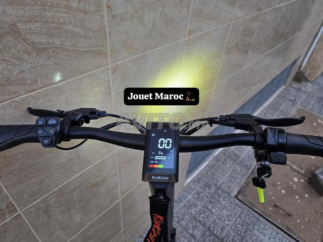 Livraison gratuite dans toutes les villes - 2