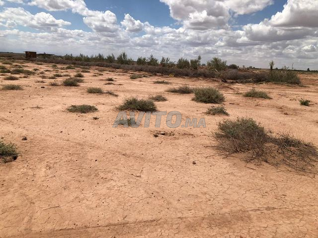 Terrain à vendre près de Marrakech – 12 958 m²