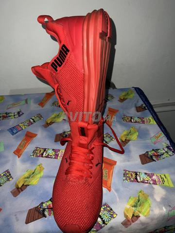 بوما جديد مقاس 43 أحمر - 2