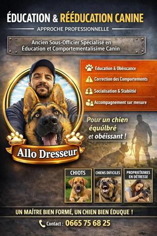 Dressage de chiens à domicile Meknes Pro