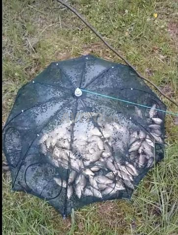 Filet de pêche pour poissons - 2