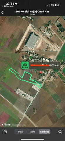 أرض فلاحية سيدي حجاج - 2