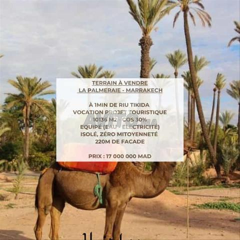 167213-بيع أرض بمراكش نخيل مساحتها 1013