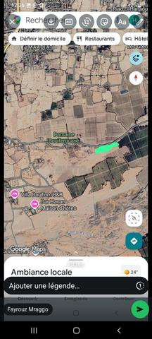 أرض فلاحية للبيع - 2