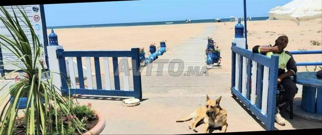 بيت عطلات شاطئي شاطئ ومسبح - 2