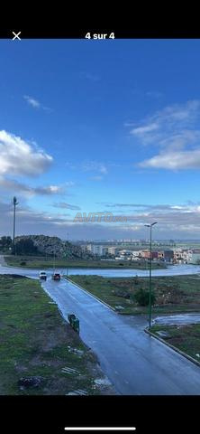 بقعة R4 تجارية شوكة - 2