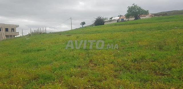 Terrain titré à vendre Tétouan