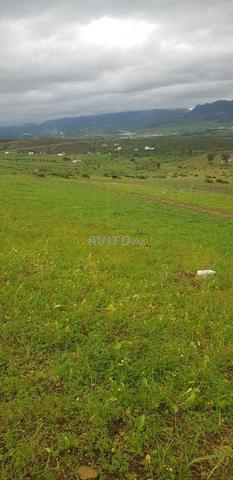 أرض محفظة للبيع تطوان