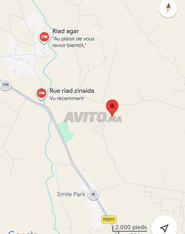 أرض للبيع - 2