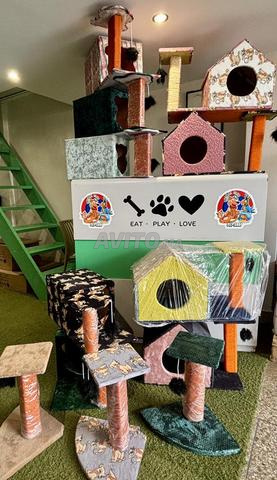 بيت صغير وخدش - 2