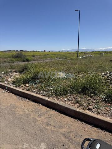 Terrain de villa 300m² 2 façades - 2