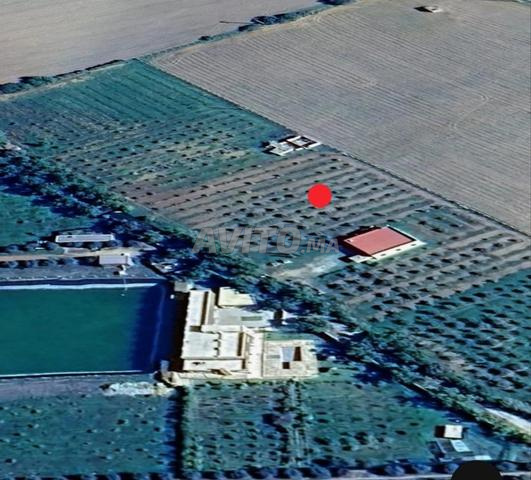 مزرعة للبيع 6 كم - 2