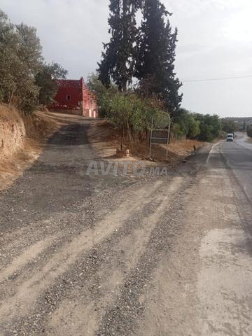 أرض على الطريق الوطني - 2