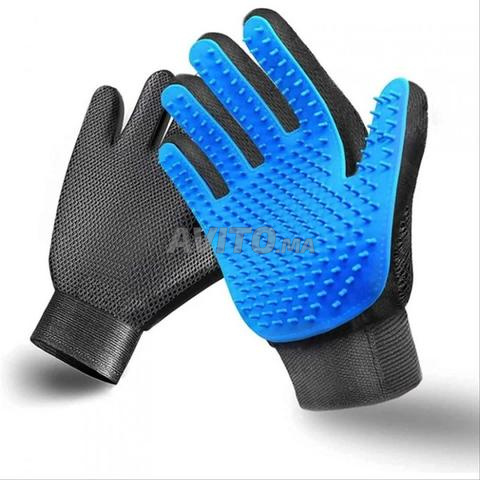 العناية بالحيوانات الأليفة لكلبك أو قطتك أو أرنبك