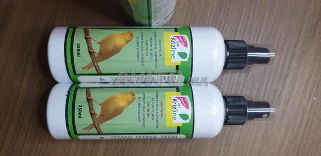 دواء لجميع الطيور