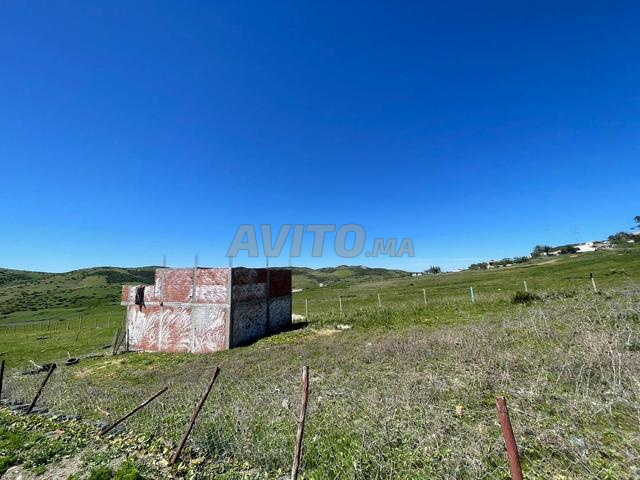 دوار ظهر البرداع جماعة وقيادة اجوامعة دائرة🌻🌍🏕 - 2