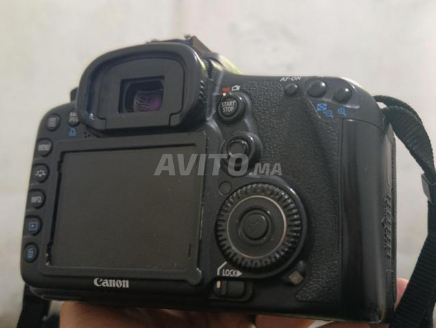 وجدة وجدة - 2