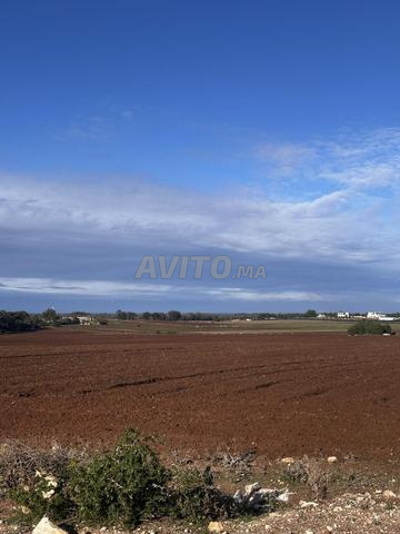 10000 متر مربع سيدي رحال - 2