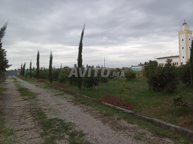 مزرعة، فيلا ومسبح للإيجار - 2