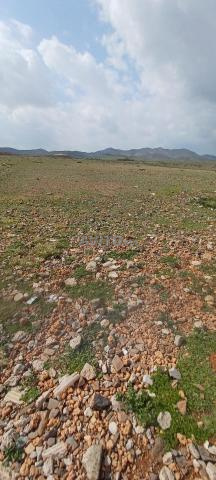 بقعة أرضية للبيع - 2