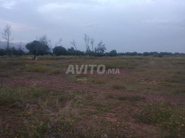 أرض للبيع - 2