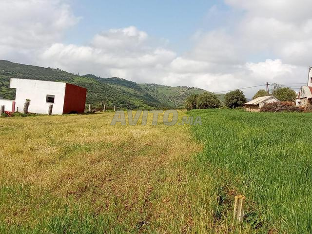 Opportunité d'investissement en or dans la banlieue de Tétouan