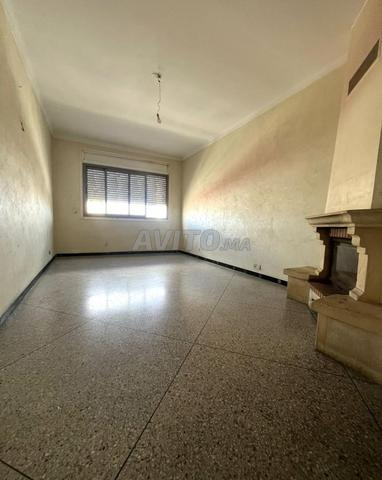 Appartement vide Centre ville - 2