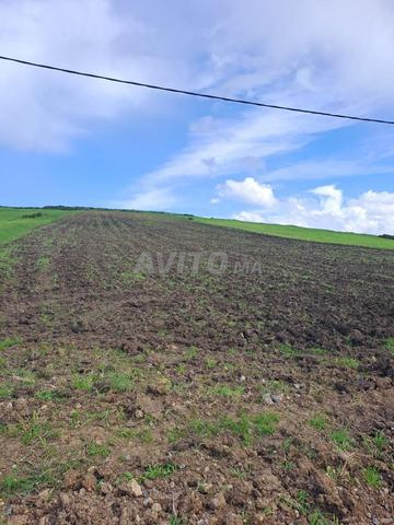 أرض 4541م² للبيع على الطريق المؤدي إلى أصيلة