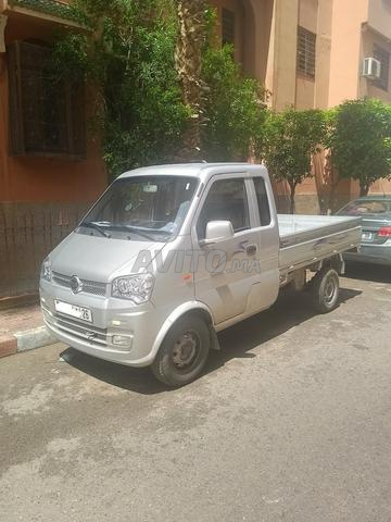 Petite camionnette [mini truck] - 2