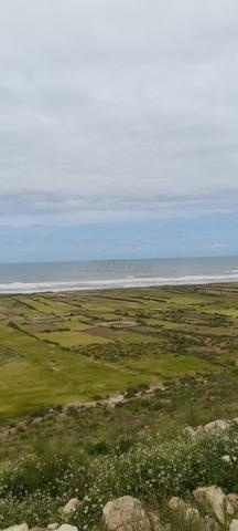 Terrain à vendre titré (titre foncier)