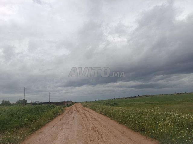 أرض فلاحية محفظة 21,5 خدام قرب الطريق