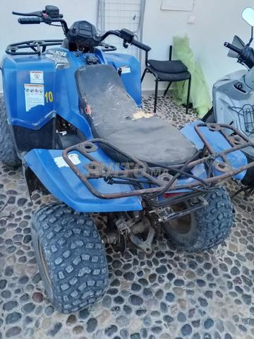 Quad Polaris Trailboss 330 - 2
