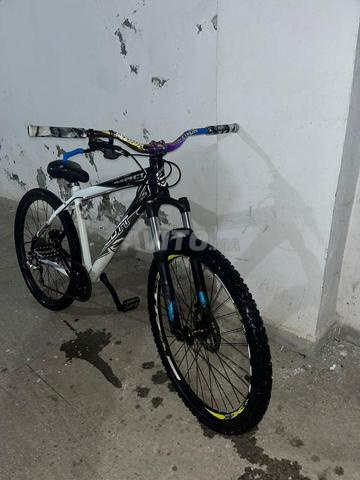 سكوت أسبكت - 2