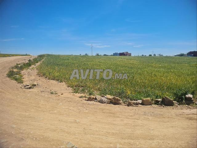 بيع أراضٍ محفظة - سيدي رحال - إطلالة على البحر