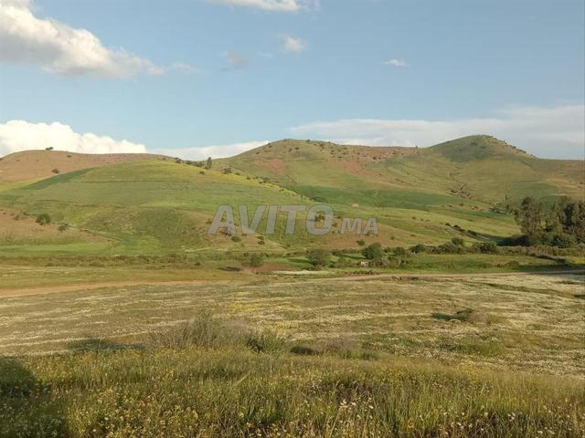 أرض فلاحية للبيع 13 هكتار