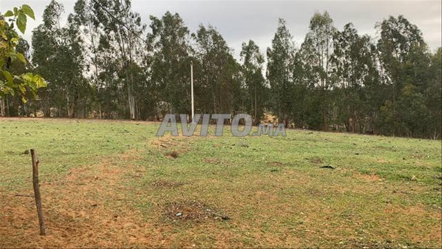 أراضٍ محفظة فلاحية ببير جديد - 2