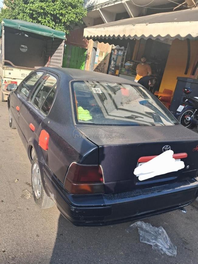سباتة الدارالبيضاء شارع الشجر 