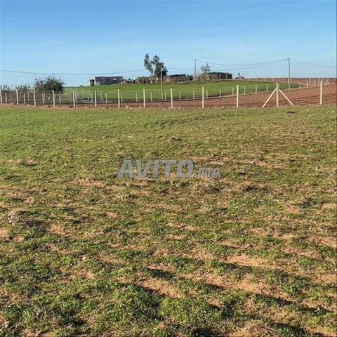 بيع أراضٍ محفظة للبناء والاستثمار — سيدي رحال - 2