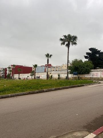 بقعة أرضية محفظة في أصيلة - 2