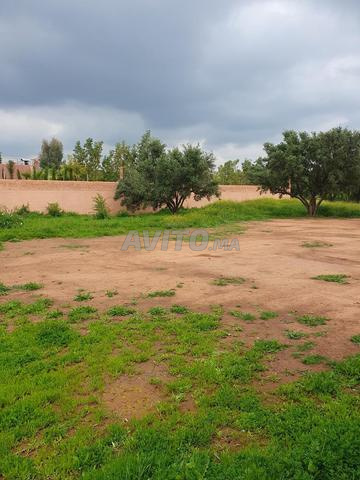 بقعة للبيع - 2