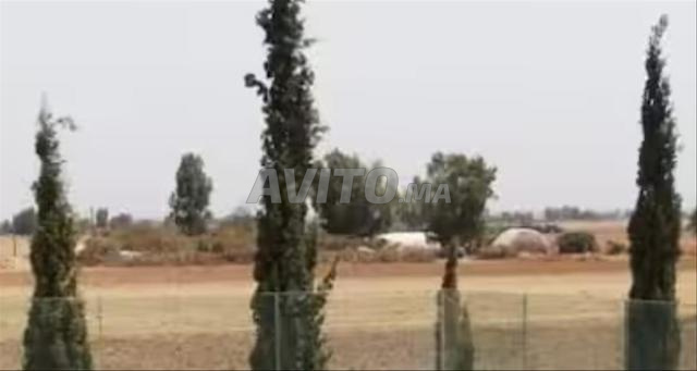 أرض لفيلا قريبة من بن سليمان والدار البيضاء