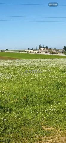 Excellent hectare near Tiflet at 2km Houta sans intermédiaire