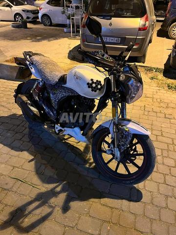 بينيلي VLX 157 سي سي - 2