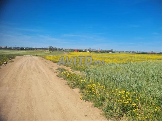 بيع أراضٍ محفظة - سيدي رحال - إطلالة على البحر