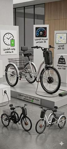 Vélos électriques trois roues - 2