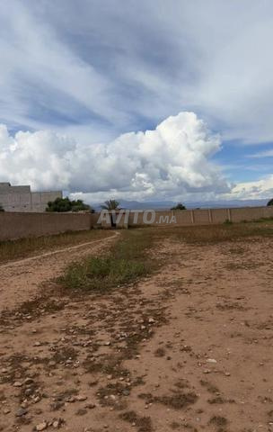 تمسيا 2787 م² - 2