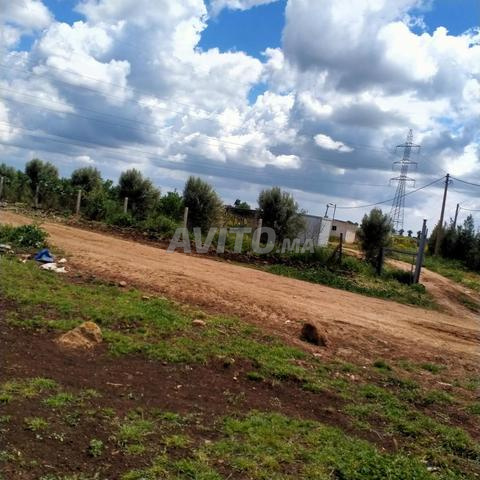 مزرعة 15 هكتار للبيع - 2