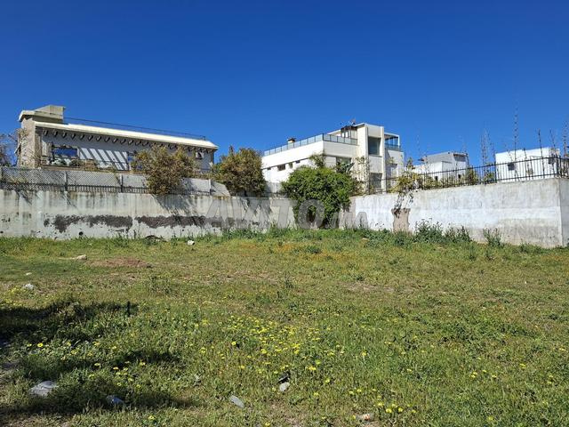 Beau Terrain de 499m2 au coeur de Dar Bouazza - 2