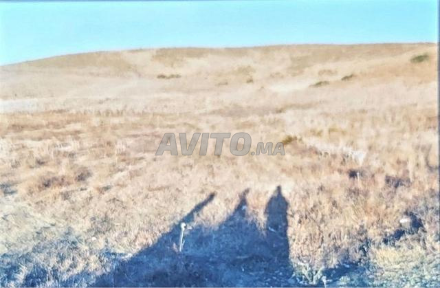 أرض استثنائية - 2