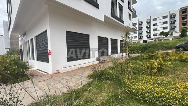 فرصة استثنائية في تامسنا - 2